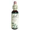 Fiori Di Bach Holly 20ml