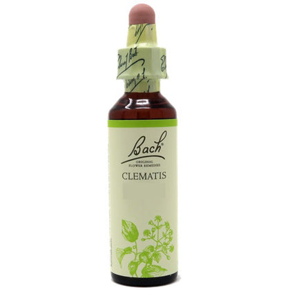 Fiori Di Bach Clematis 20ml