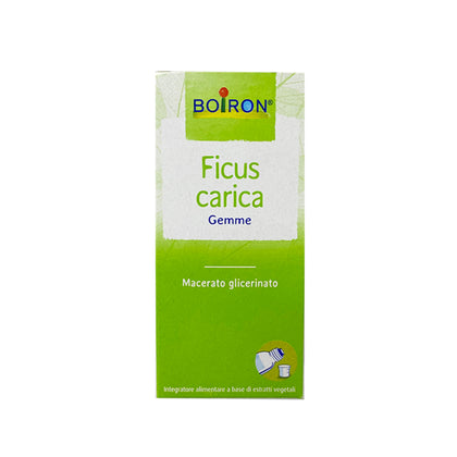 Boiron Ficus Carica Gemme Macerato Glicerinato 60ml