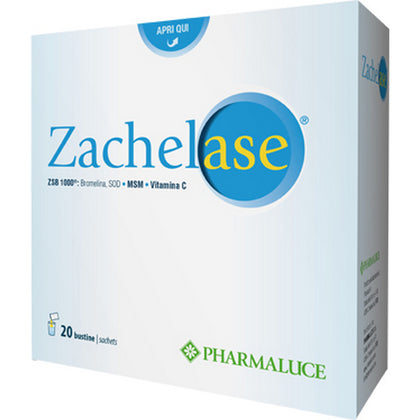 ZACHELASE 20 BUSTE