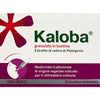 Kaloba Granulato 21 Bustine Monodose